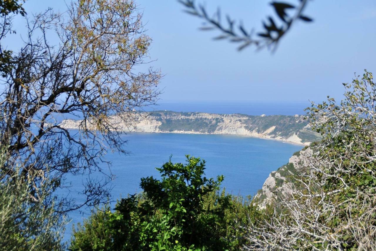 Villa Meli Afionas Corfu Eksteriør bilde
